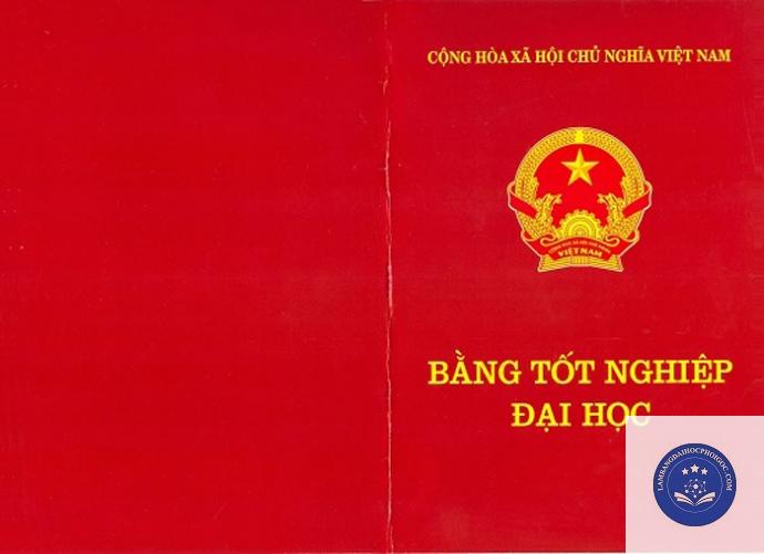 bằng đại học làm hồ sơ du học - Image 4