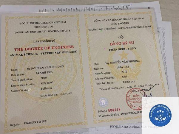bằng đại học loại giỏi có được học bổng không - Image 2