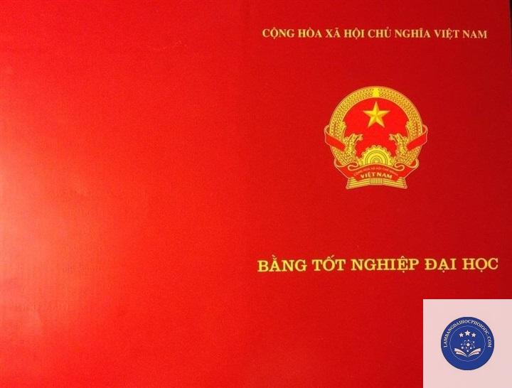 bằng đại học loại trung bình có xin việc được không - Image 3