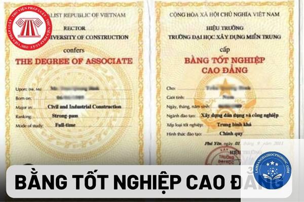 bằng đại học sai thông tin cá nhân - Image 5