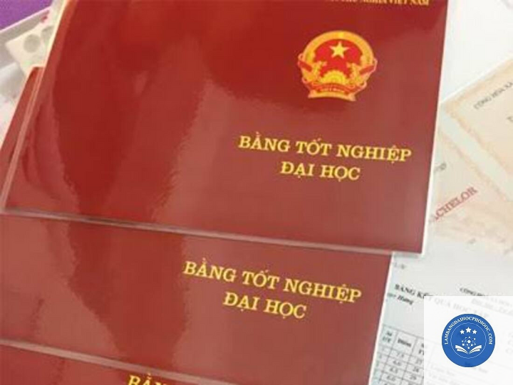 bằng đại học trái ngành xin việc - Image 2