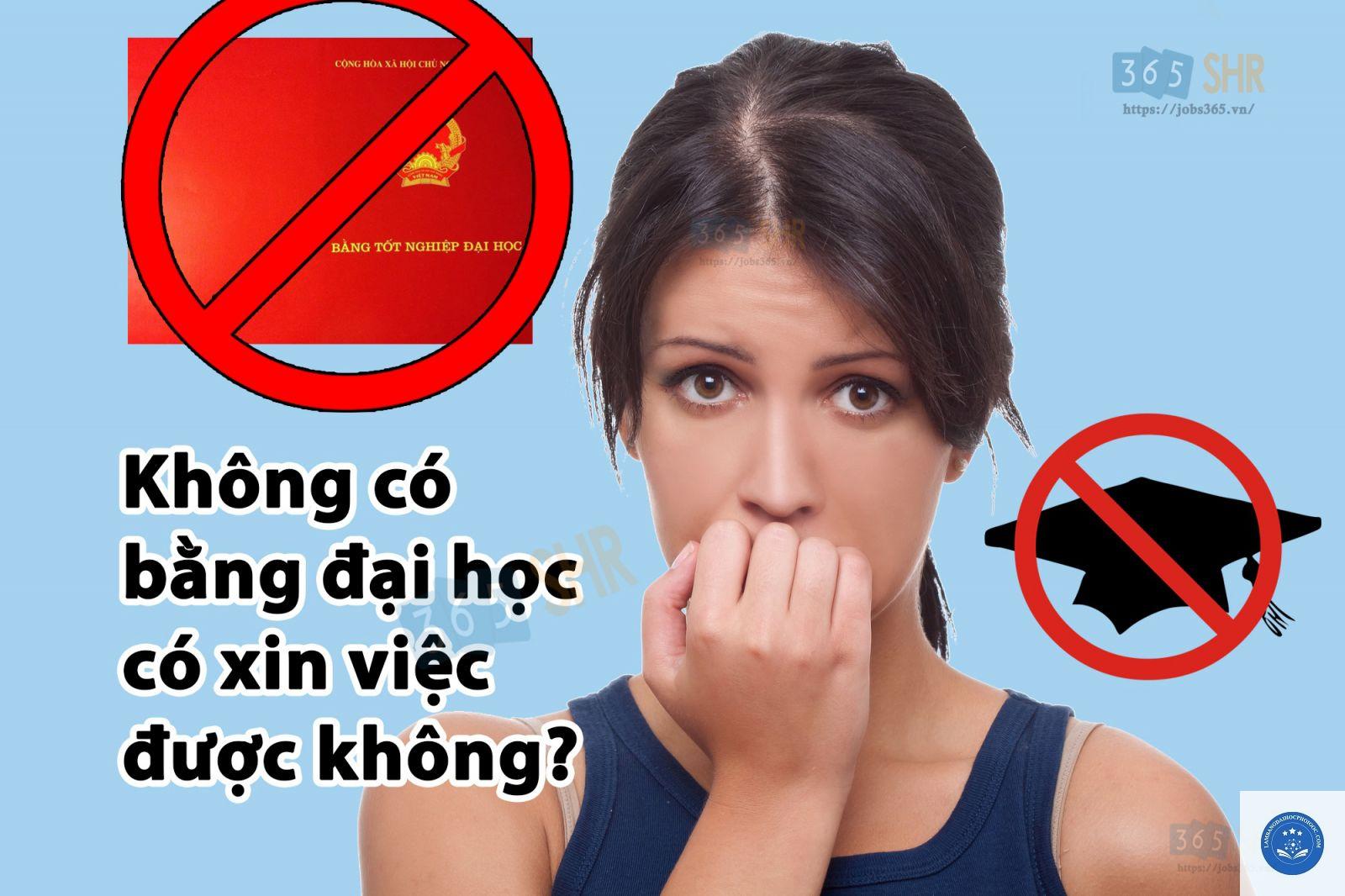 bằng đại học xin việc được không - Image 3