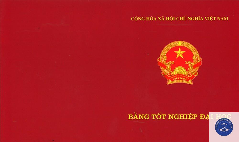 bằng đại học xin việc nước ngoài - Image 5