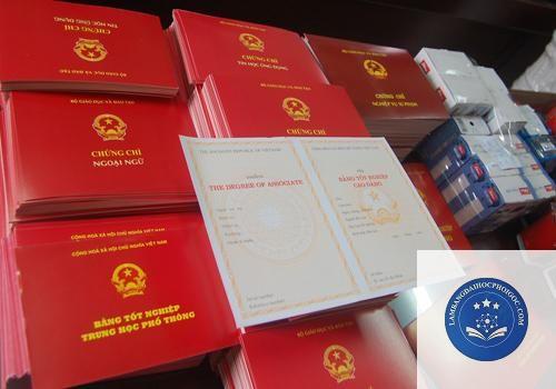 cách xác minh bằng đại học - Image 3