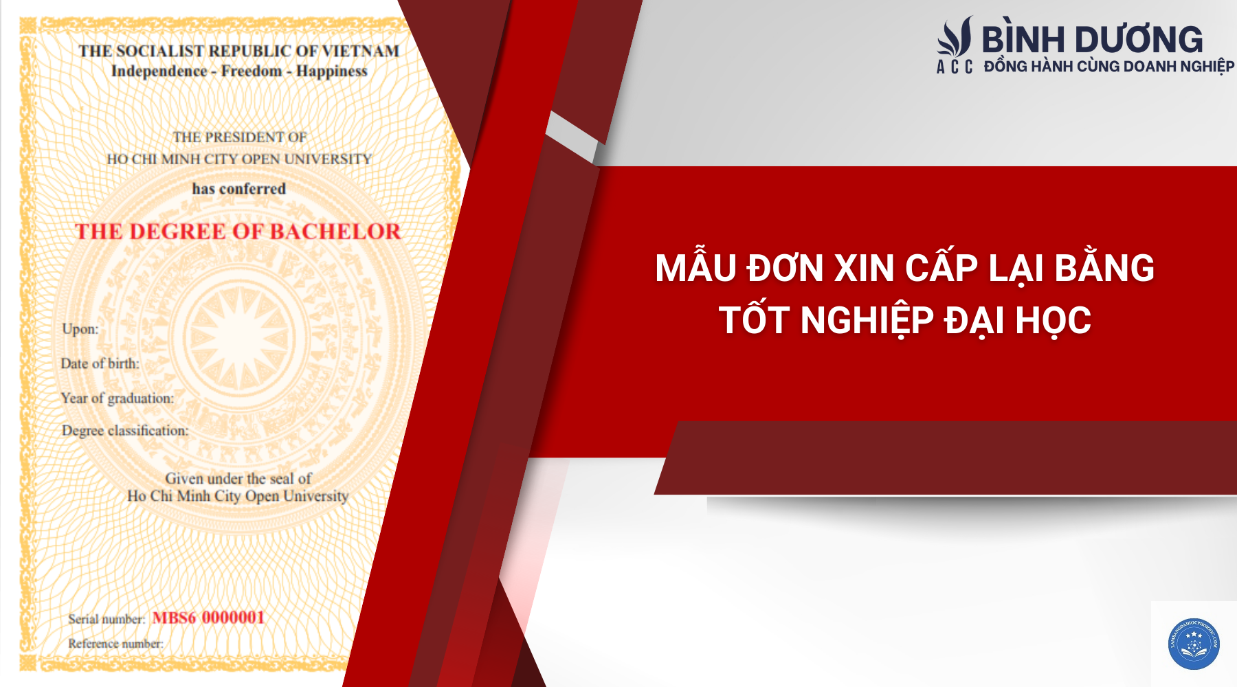cấp lại bằng tốt nghiệp đại học - Image 4