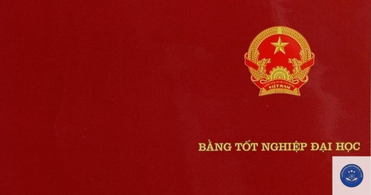 điều kiện cấp bằng đại học - Image 5