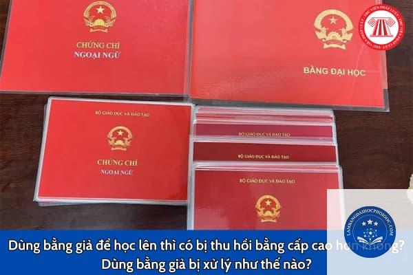 đính chính bằng đại học - Image 4