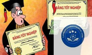 kiểm tra bằng đại học giả