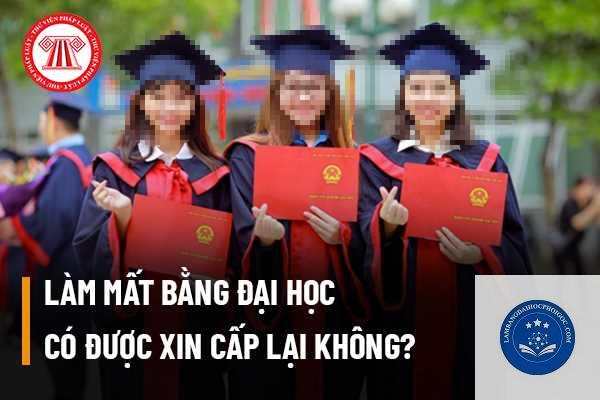 mất bằng đại học có được cấp lại không - Image 3