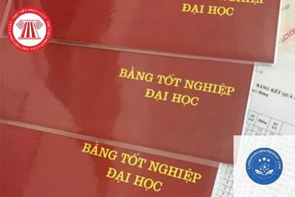 nội dung trên bằng đại học - Image 4