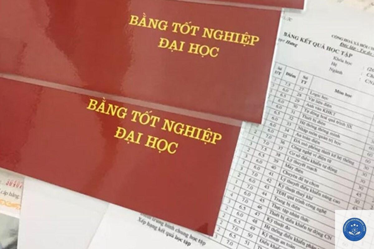 phân biệt bằng đại học thật giả - Image 3