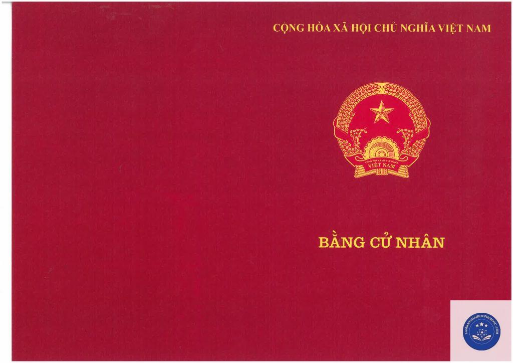 phôi bằng đại học - Image 5