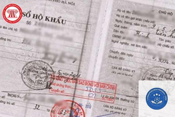 sao y bằng đại học - Image 1