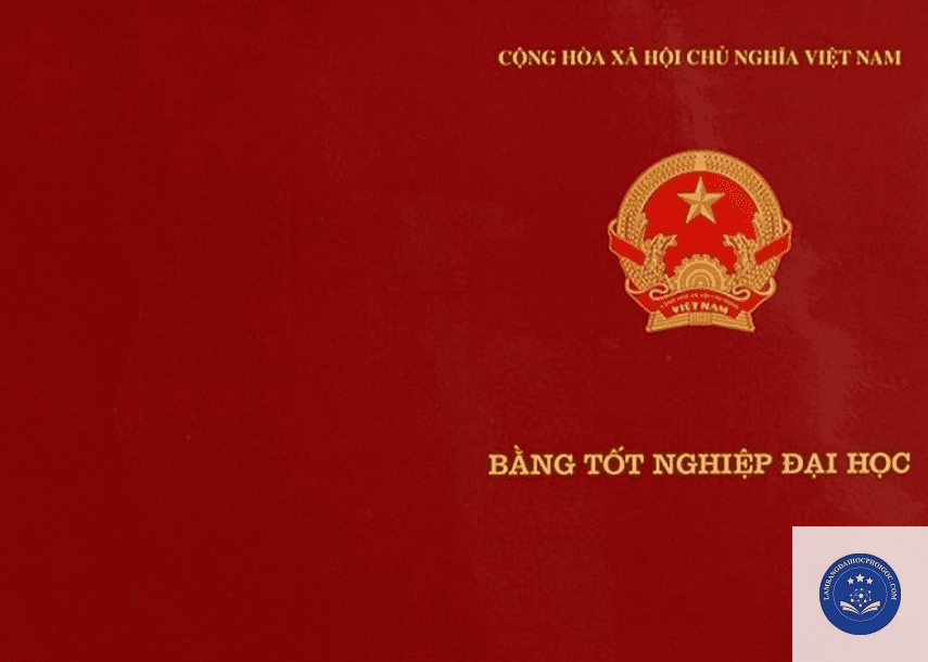 số hiệu bằng đại học - Image 3