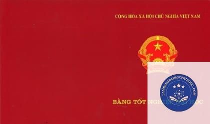 sửa thông tin bằng đại học - Image 2