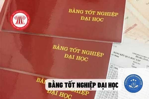 sửa thông tin bằng đại học - Image 1