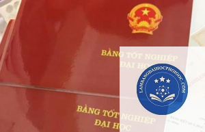 thủ tục cấp bằng đại học