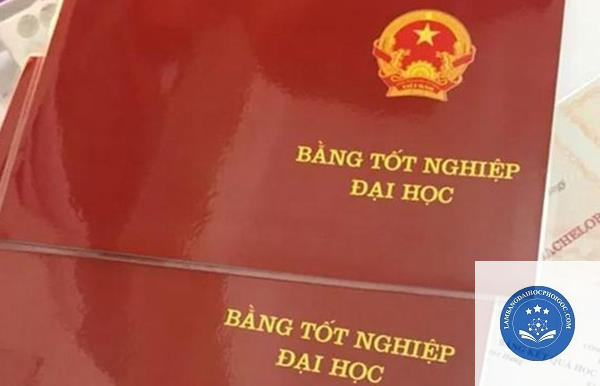 thủ tục lấy bằng đại học - Image 1