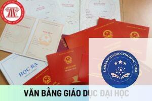 văn bằng và bằng đại học